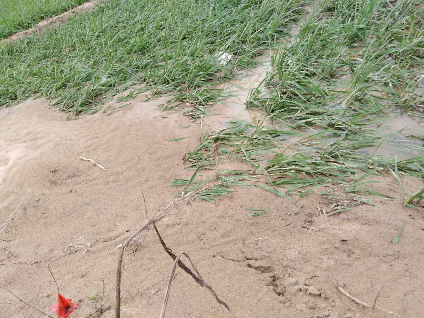 微信图片_20190521093956.jpg
